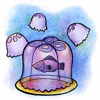 Из чего состоят медузы и как они устроены