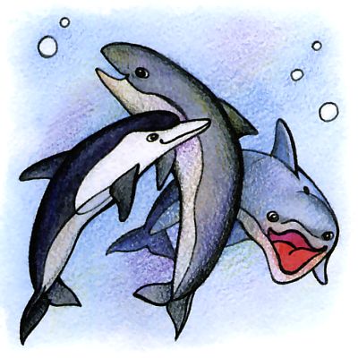 Какие киты водятся в Черном море? Правда, что дельфин - кит