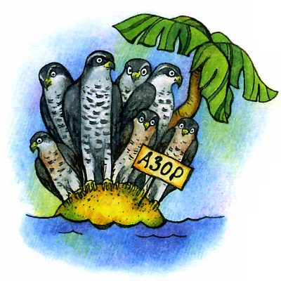 птица ястреб азорские острова - прикольные картинки