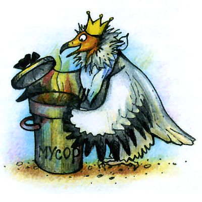 Виды грифов птицы