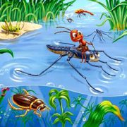 Правда, что насекомые - самые многочисленные животные на Земле?