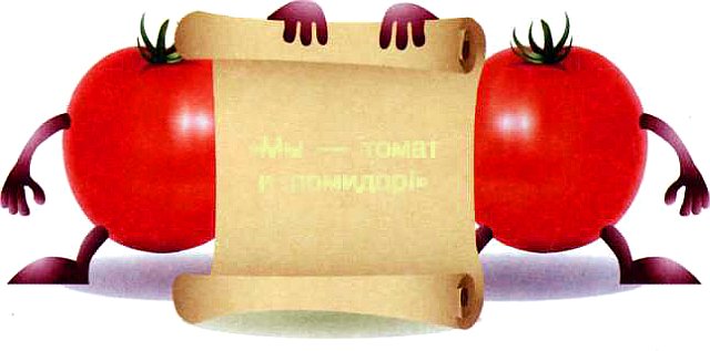 томат и помидор, не родственники, а однофамильцы на разных языках
