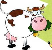смешные картинки - корова