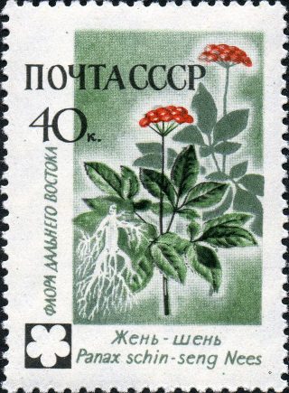 Марка почты СССР - Жень-шень